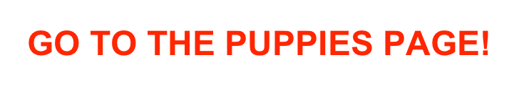 GO TO THE PUPPIES PAGE!